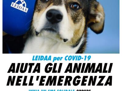 Cani, covid e quarantena: un sms solidale per gli animali delle famiglie colpite dalla pandemia