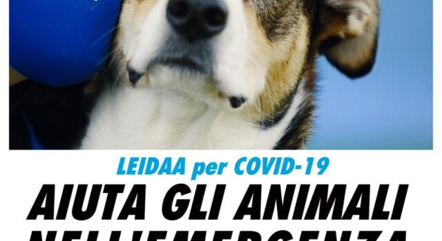 Cani, covid e quarantena: un sms solidale per gli animali delle famiglie colpite dalla pandemia