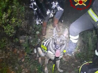 Disperso nel bosco, ritrovato dalle squadre cinofile dei vigili del fuoco