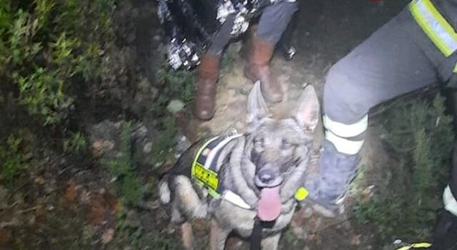 Disperso nel bosco, ritrovato dalle squadre cinofile dei vigili del fuoco