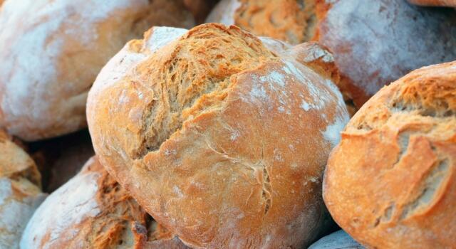 Coldiretti: ecco dove il pane costa di più in Toscana