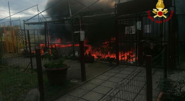 Incendio al campo sportivo distrutti gazebo e accessori