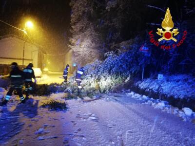 Superlavoro per i vigili del fuoco, neve e alberi sulle strade a Pistoia