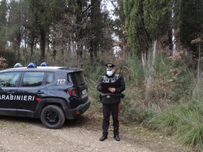 Scappa al controllo: inseguito e sanzionato dai Carabinieri
