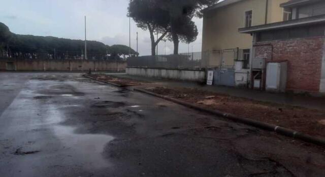 Via Genova, via Savonarola e piazza del Commercio: tigli al posto dei pini