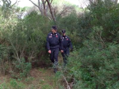 Controlli della Forestale su divieti anticaccia, 6 denunce