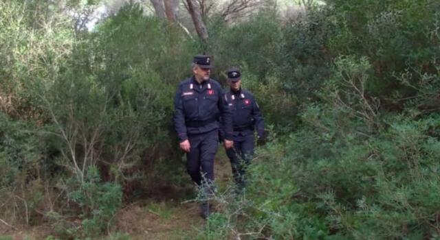 Controlli della Forestale su divieti anticaccia, 6 denunce