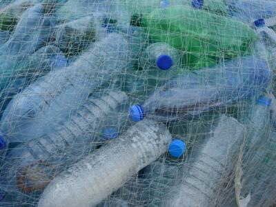 “ Toscana Plastic Free” il progetto entra nelle classi toscane