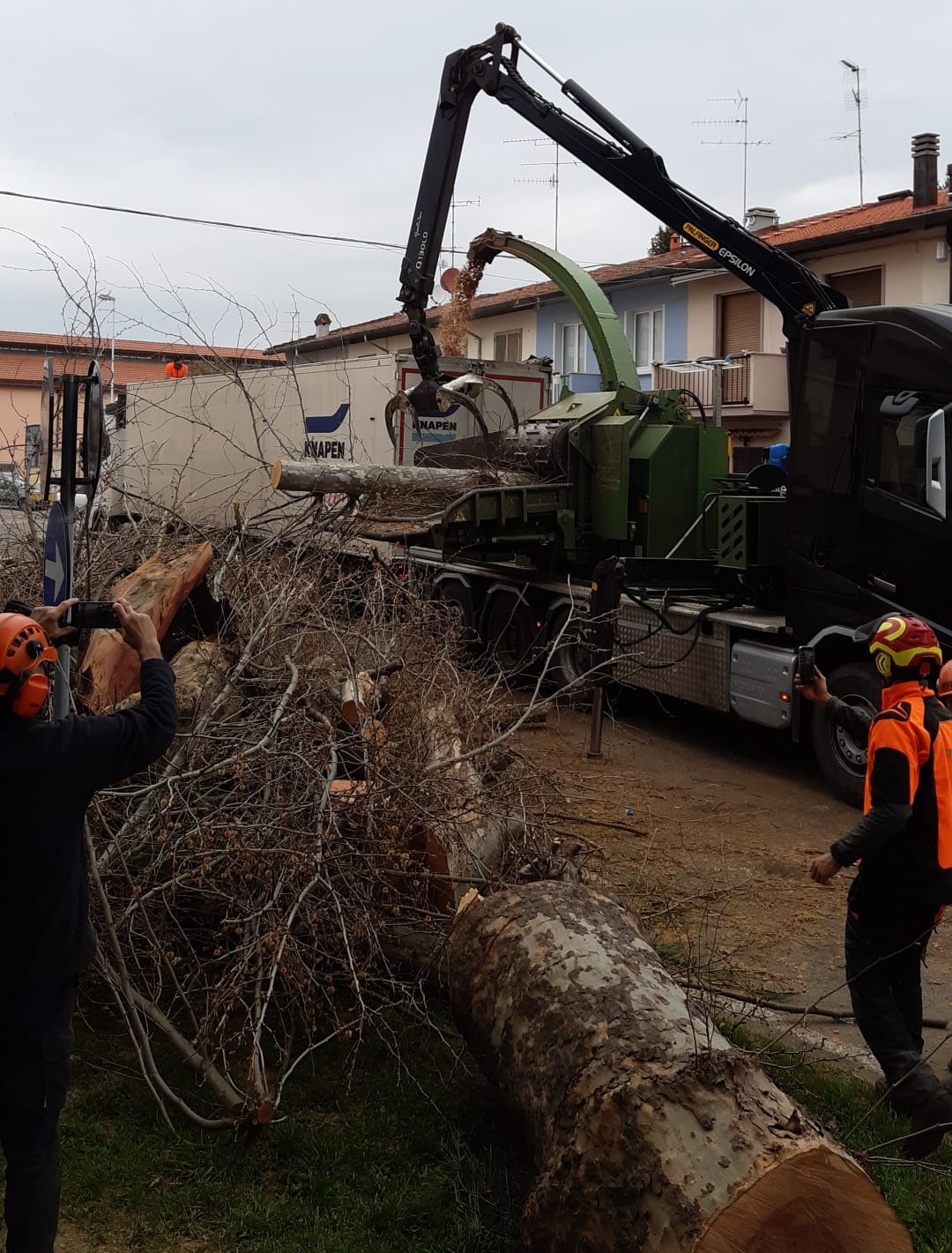 Via del Gorone, abbattuti 13 alberi infestati dal tarlo asiatico