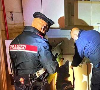 Operazioni antidroga a Carrara e Pisa