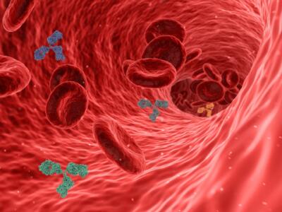 Al via la sperimentazione clinica degli anticorpi monoclonali