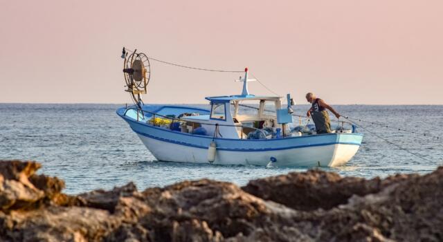 Pesca, nuove risorse ai bandi su trasformazione prodotto ittico e acquacoltura