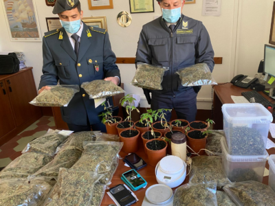 Arrestato 40enne per coltivazione di marijuana con finalità allo spaccio