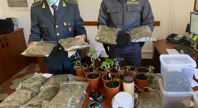 Arrestato 40enne per coltivazione di marijuana con finalità allo spaccio
