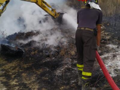 Asciano: a fuoco 3ettari di oliveta