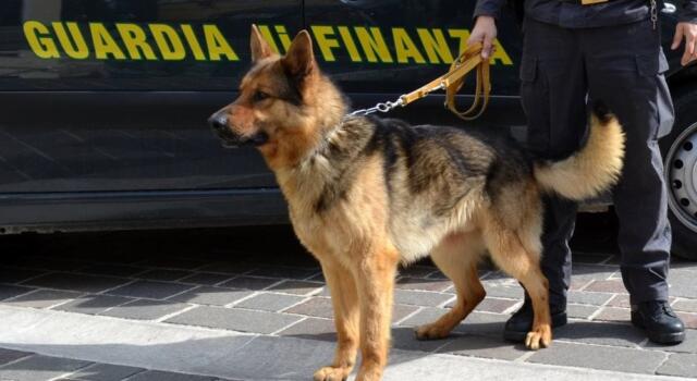 GDF Prato: I finanzieri arrestano spacciatore armato di coltello