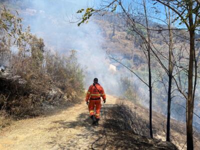 Monte Serra, sopralluogo della Regione nelle zone colpite dall’incendio