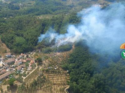 Incendi, in fiamme boschi e oliveti vicino Lucca