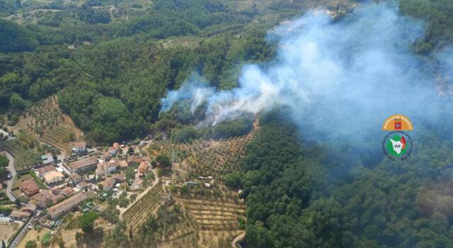 Incendi, in fiamme boschi e oliveti vicino Lucca