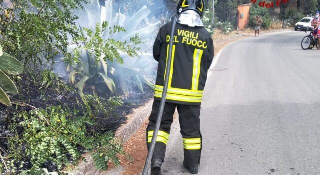 Incendio a Campo nell&#8217;Elba, Vigili del Fuoco hanno estinto le fiamme