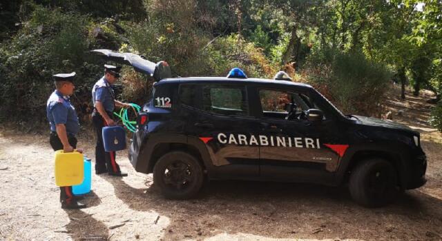 Seggiano(GR), detiene diverse taniche e riempie il serbatoio con gasolio agricolo, denunciato