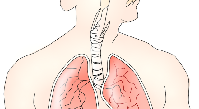 Trapianto polmone, accordo tra Aou Senese e Aou Careggi per potenziare l’attività chirurgica