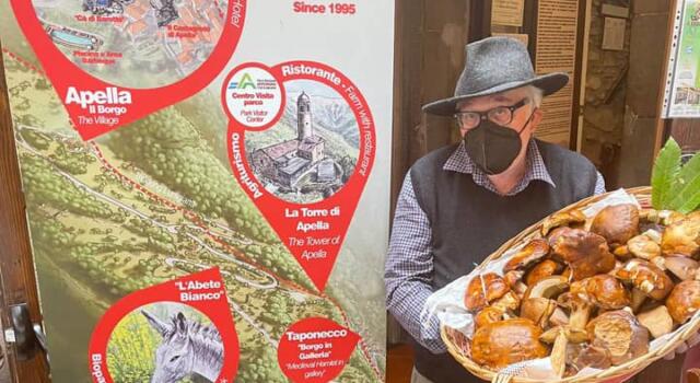 Massa Carrara: stagione d’oro per il porcino e boschi “affollati” nell’alta Toscana