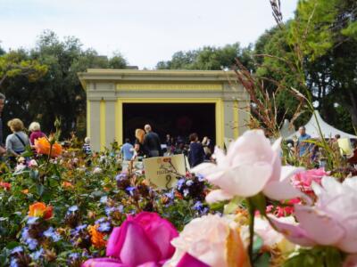 Harborea, grande successo: nel week end oltre 7 mila visitatori al parco di Villa Mimbelli