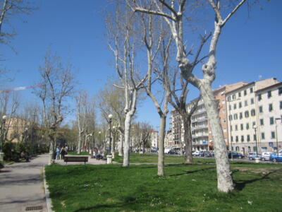 Livorno, iniziato il restauro dell’obelisco di piazza Mazzini