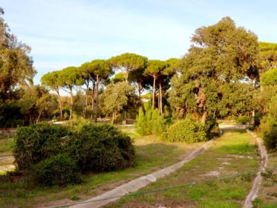 Tirrenia, affifati i lavori per riqualificare parco Ciclilandia