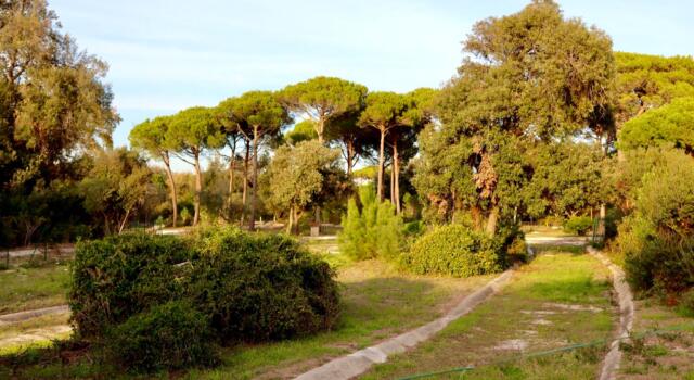 Tirrenia, affifati i lavori per riqualificare parco Ciclilandia