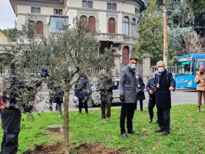 Prato, piantato l’olivo della pace