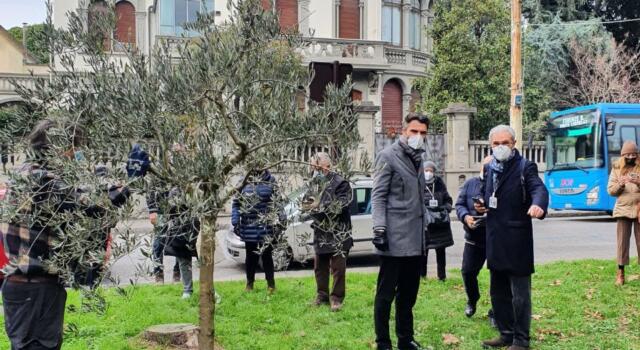 Prato, piantato l&#8217;olivo della pace