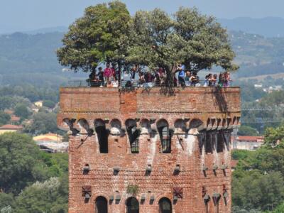 Lucca, giovane tecnico Usl si suicida gettandosi dalla Torre Guinigi