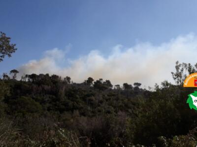 Incendio a sud di Grosseto, evacuati gli ospiti di un albergo