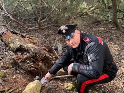 Roccastrada, area di spaccio smantellata dai Carabinieri e ripulita dal comune