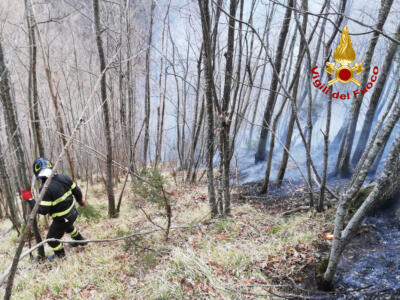 Incendio nel bosco, i vigili del fuoco al lavoro anche con l’elicottero