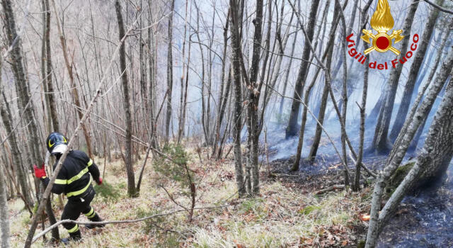Incendio nel bosco, i vigili del fuoco al lavoro anche con l&#8217;elicottero