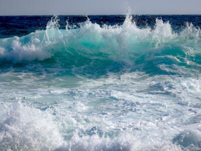 Allerta meteo venerdì per vento forte