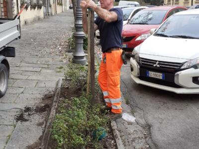 22 nuovi alberi per il parco fluviale