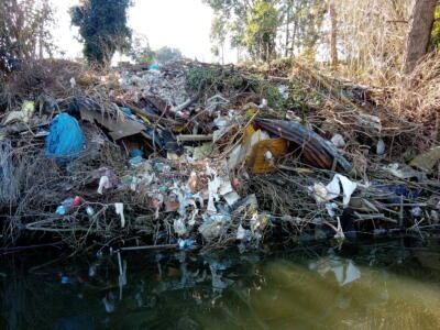 Rifiuti abbandonati, scoperta discarica abusiva sull’argine dell’Arno a San Piero a Grado