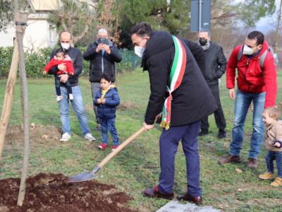 Verde urbano, la città di Pisa diventa oggetto di studio