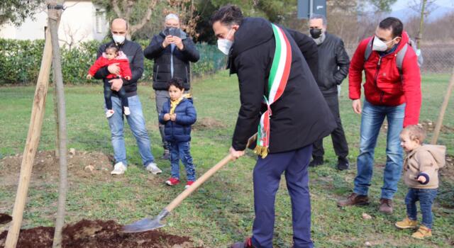 Verde urbano, la città di Pisa diventa oggetto di studio