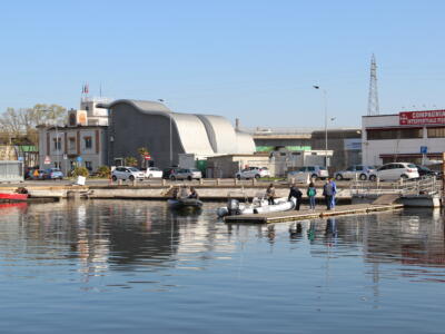 Port Authority, avvocato Nitto: “Nessuna scusa, abbiamo sempre operato per il bene di Pisa e della partecipata”