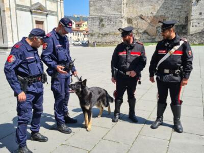 Arrestato 33enne grazie all’unità cinofila dei carabinieri, aveva con se oltre 170 g. di eroina