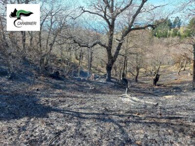 Incendi boschivi in Maremma, i Carabinieri Forestali tracciano un bilancio