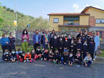 <strong>GAIA premia la 4A della primaria di Romagnano: ulivi nel giardino della scuola</strong>