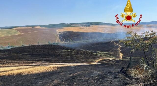 Esteso incendio in campi di grano, due elicotteri dei Vigili del Fuoco all’opera