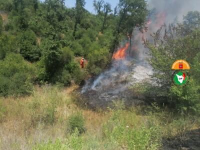 Incendi: fiamme bosco, in azione 2 elicotteri e squadre a terra