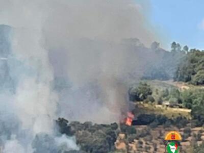 In fiamme terreni coltivati a olivi e vigne, vigili del fuoco al lavoro